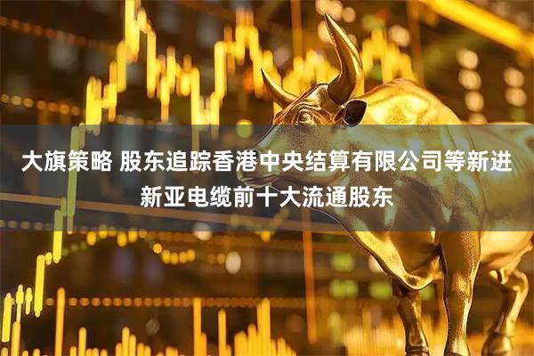 大旗策略 股东追踪香港中央结算有限公司等新进新亚电缆前十大流通股东