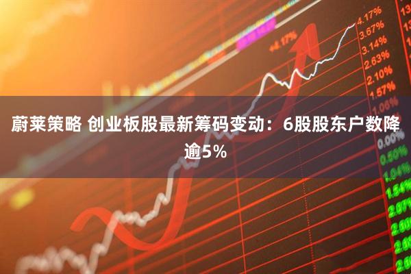 蔚莱策略 创业板股最新筹码变动：6股股东户数降逾5%