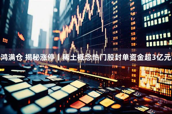 鸿满仓 揭秘涨停丨稀土概念热门股封单资金超3亿元