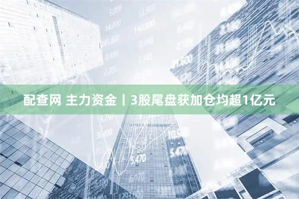 配查网 主力资金丨3股尾盘获加仓均超1亿元